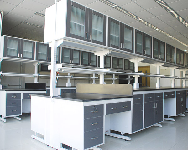 正能量网站软件