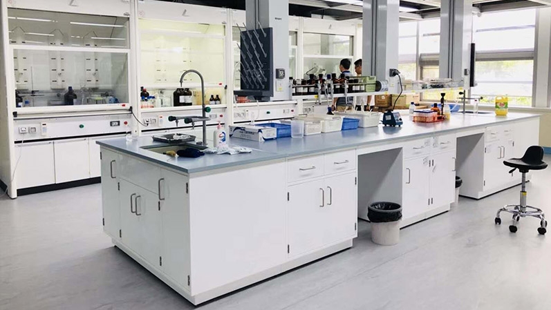 91正能量看黄片 91正能量看黄片